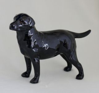 Royal Doulton Black Labrador Retriever Dog No.  HN 2667 - Retired 5