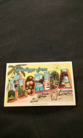 Greetings From Florida The Land Of Sunshine - Old Postcard