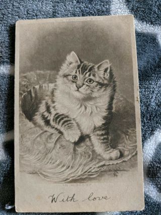 Vintage Cat Postcard.  Art.  Drawings Of Adult Cat On Cushion.  No Date.