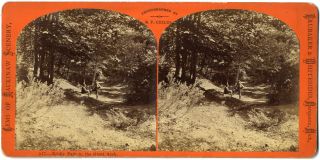 1870s Childs Marquette Michigan Mackinaw Series Bridle Path To Great Arch