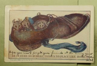 Dr Who 1907 Richland Pa Mice In Shoe Home Postcard E25770