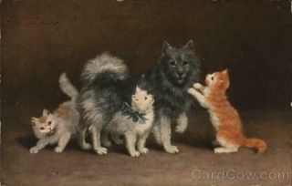 Cats A Gray And White Cat With Her Three Kittens Postcard Vintage Post Card