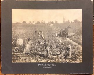 The Philadelphia Museums Antique Cabinet Photo Picking Cotton Arkansas 1890 - 1920