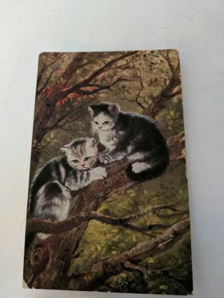 Vintage Cat Postcard.  Art.  Two Kittens Up A Tree.  Postmarked 1909.