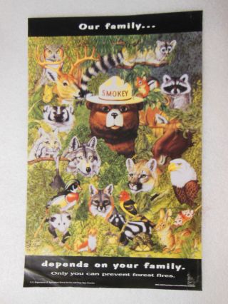 Usda Smokey The Bear " Our Family Depends On " Forest Fire Prevention Poster Vtg