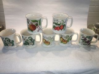 7 Vintage Lauffer Fruit Mugs Apple Plum Peach Thea Coffee Japan Gailstyn - Sutton