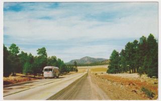 Route 66 Arizona Trailways Style Bus Posted 1954 To L.  Mayne Of Detroit Michigan