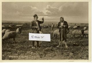Shepherds Of The Hills Cyprus