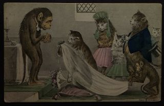 Anthropomorphic Humanized Ape Monkeys And Cats At Wedding 1910 Postcard