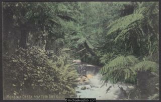 Monbulk Creek Near Fern Tree Gully