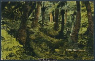 Fern Tree Gully,  Victoria,  Card