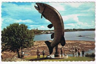 Ontario Postcard Lake Of The Woods Kenora World 