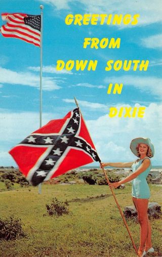 C19 - 8993,  Greetings From Down South In Dixie.