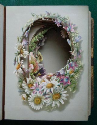 Antique Victorian Royal Cabinet Photo Album With Flower Mounts Vri