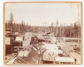 Vintage 1900s Matted Photo Lumber Yard Workers Railroad Antique Photograph