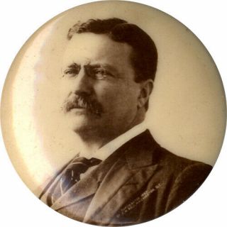 1904 Theodore Roosevelt Campaign Photo Button (4847)