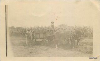 Agriculture C - 1910 Farming Corn Harvest Horse Drawn Workers Overall Rppc 3287