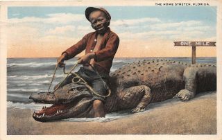 E25/ Black Americana Postcard C1910 Home Stretch Boy On Alligator Ride 1