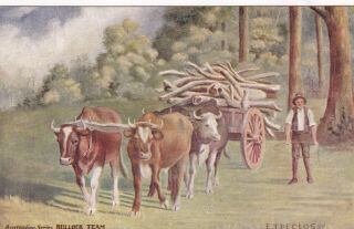 Vintage Postcard Artist Declosey Bullock Team Australian Series 1900s