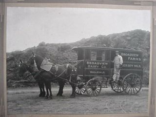 Antique Broadview Dairy & Farm Horse Drawn Delivery Wagon Spokane Wa Photograph