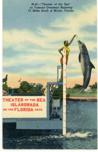 Islamorada Florida Keys Fl " Theatre Of The Sea " Unsed Advertising Linen Postcard