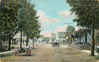 York,  Ny,  West Shokan (in - The - Catskills),  Main Street 1910 