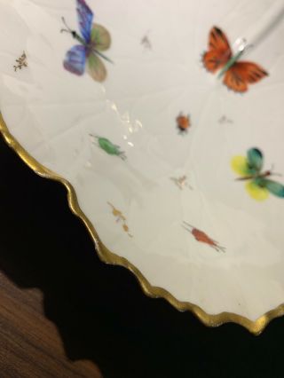 Tiffany & Co.  Private Stock Hand Painted Porcelain Le Tallec Butterfly Dish 6