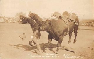 Sharkey Famous Bucking Bull Cowboy Rodeo Doubleday Real Photo Postcard J75624