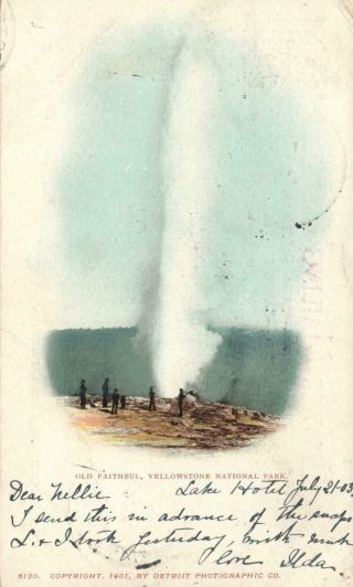 1903 Vintage Old Faithful Postcard - Sent To St Louis,  From Yellowstone Park
