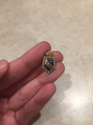 Pi Lambda Phi 10k Gold Fraternity Pin With Seed Pearls And Lion