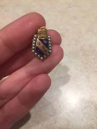 Pi Lambda Phi 10K Gold Fraternity Pin With Seed Pearls And Lion 2