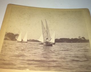 Rare Antique American Vacation Sailing Boats Lake Cabinet Photo Us