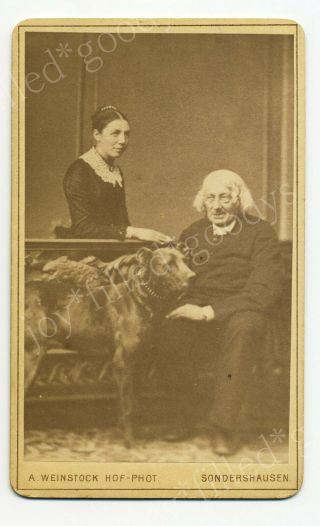 1870s Great Dane Or Other Type Handsome German Dog Germany Cdv