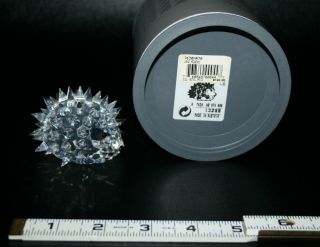 Swarovski Crystal Figurine " Large Hedgehog " 13288 7630nr70