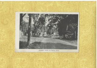 Ct Canton 1908 - 29 Antique Postcard Street View Homes & Buildings Conn
