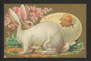 Easter Postcard White Rabbit Bunny Chick Hatching Egg Embossed 1909 Vintage