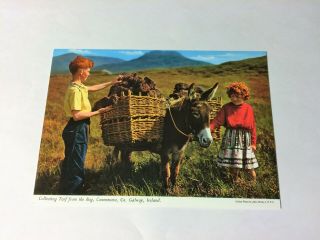 Irish Postcard - Collecting Turf From The Bog Connemara,  Galway Ireland - John Hinde