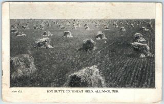 Alliance,  Nebraska Postcard " Box Butte County Wheat Field " Farming C1910s