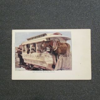2bitpostcard - A60 Undivided Back " Cherrelyn Horse Car " Denver,  Co.  Thayer 546 Look