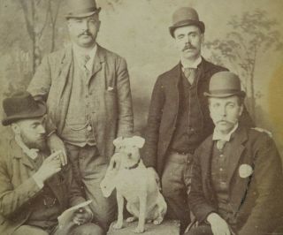 Charming 1890s Cabinet Card Photo Group Of Men Artist With Dog Thomson Edinburgh