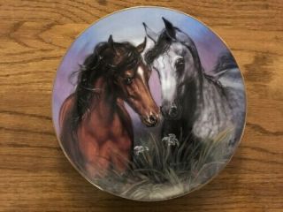 8 Danbury Horse Collector Plates by Susie Morton - Noble and Series 4