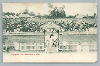 Singapore “elephant Run” Redats—rare Antique Racing Pc Straits Settlement 1910s