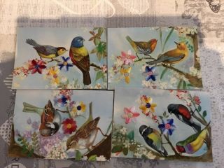 4 Vintage Spanish Postcards Of Silk Embroidered Birds