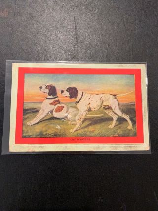 Two Pointers - Hunting Dogs - Old Postcard