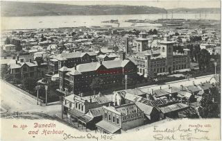 Zealand Dunedin And Harbour Vintage Postcard 25.  5