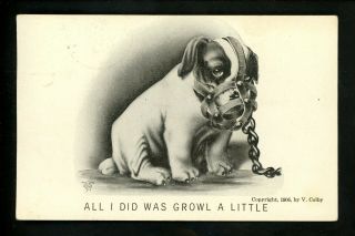 Dog Postcard Bulldog Comic Colby 1906 Vintage