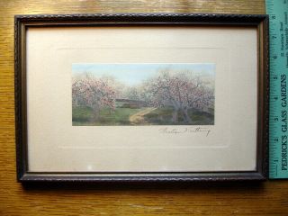 Antique Wallace Nutting Path Thru Blossoms Signed Framed Colorized Photo Exc.