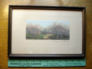 Antique Wallace Nutting Path Thru Blossoms Signed Framed Colorized Photo Exc. 2