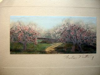 Antique Wallace Nutting Path Thru Blossoms Signed Framed Colorized Photo Exc. 3