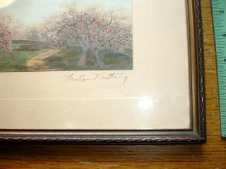 Antique Wallace Nutting Path Thru Blossoms Signed Framed Colorized Photo Exc. 6